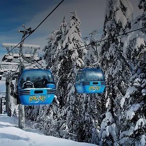 https://katys-studio.hotels-bansko.info